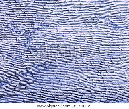 Een foto van de cellen in een overtrek met een blauwe tint toegepast (minder verzadiging om te herstellen in originele