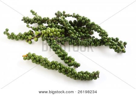 A drupe of green peppercorns from the vine, over white with a light shadow. These are the peppers from which black pepper is made and they are also used green in some asian cookery