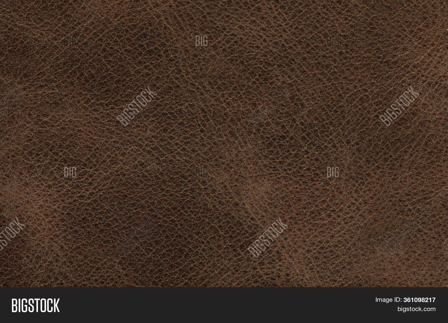 Genuine Cowhide Image & Photo (Free Trial) Bigstock