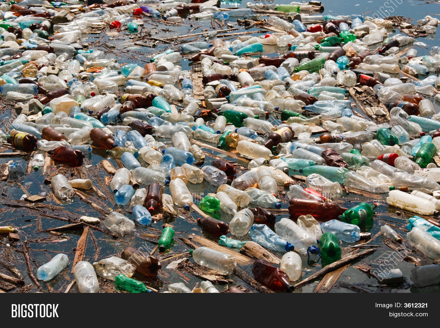 Plastic Bottle Image & Photo (Free Trial) Bigstock