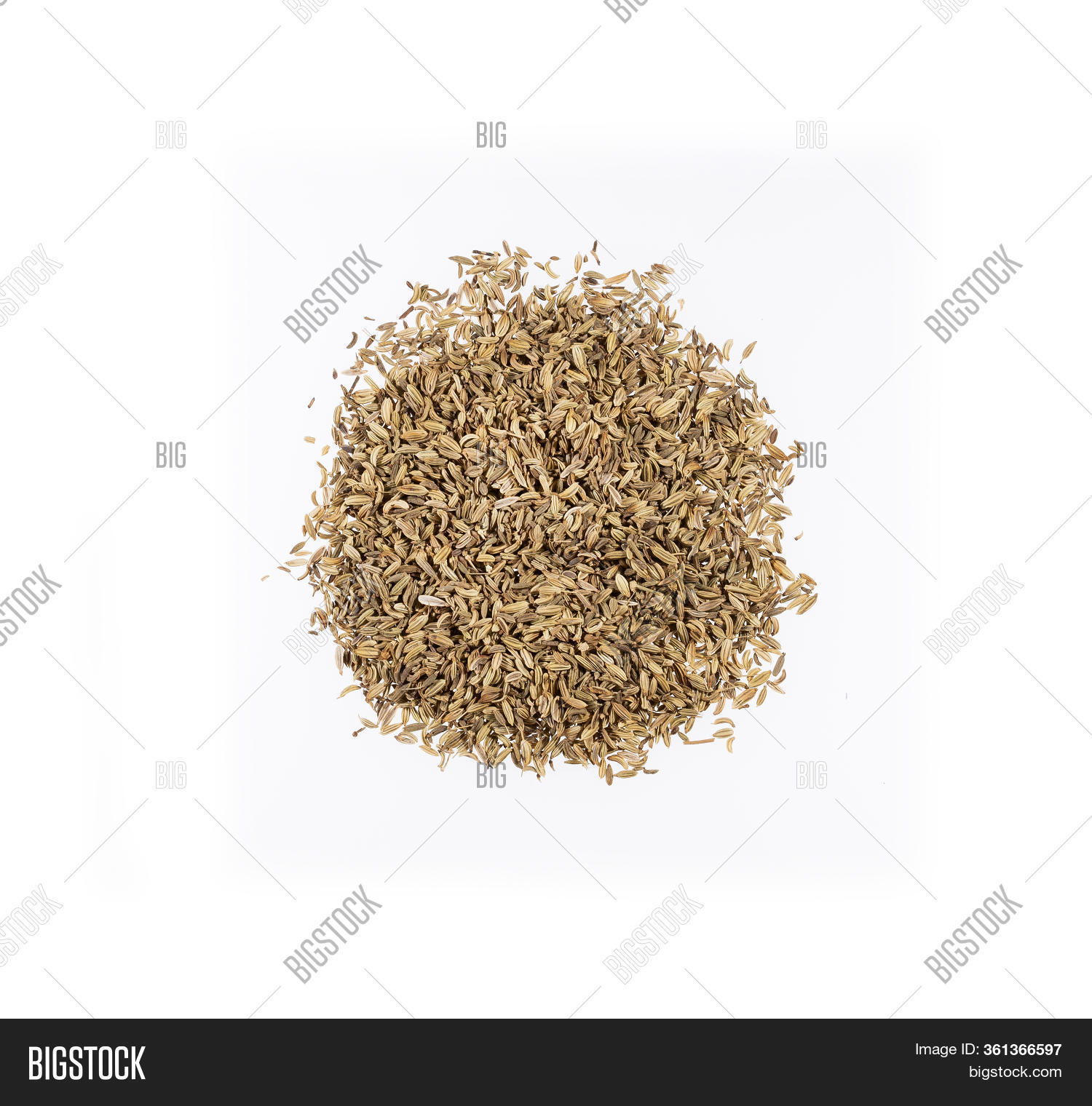 Dry Organic Fennel Image & Photo (Free Trial) Bigstock