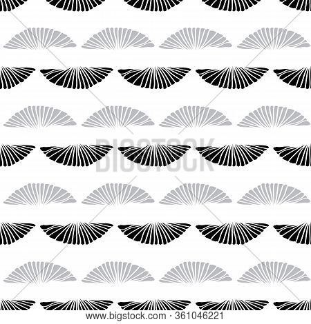 Vector Seamless Pattern Sea Shells Outlines Black And Grey On White Background. Two Rows.