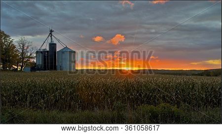 Field Of Cornstalks With Silo Background In Canada