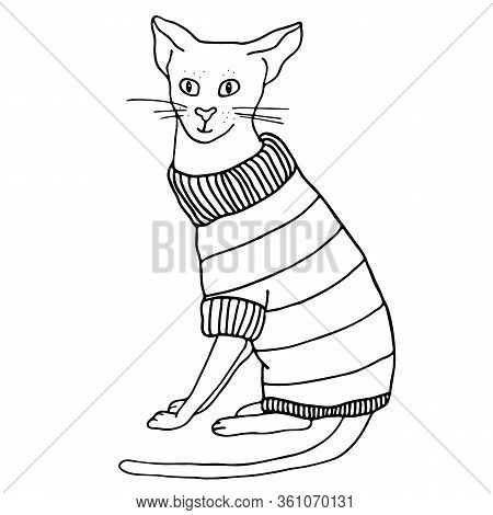 Outline Cat In Sweater Sitting. Hand Drawn Contour Vector Illustration. Cute Bold Kitten In Warm Clo