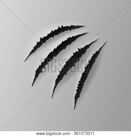 Realistic Torn Grey Paper, Four Claws Scratches With Jagged Edges In Sheet, Vector Illustration.