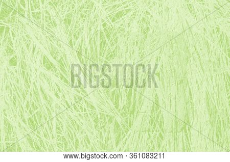Abstract Light Green Background With Copy Space For Design.