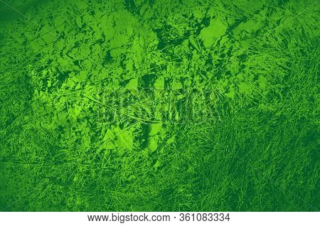Abstract Green Bright Color Background For Design.