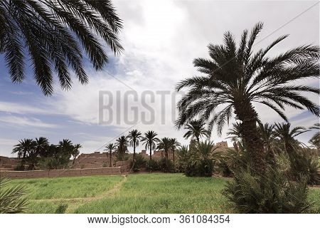 Adobe Buildings In M'hamid El Ghizlane.