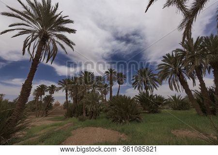 Adobe Buildings In M'hamid El Ghizlane.