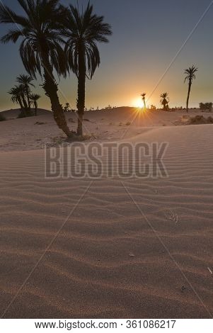 Sunset At The Gates Of The Sahara Desert In M'hamid El Ghizlane, Morocco.