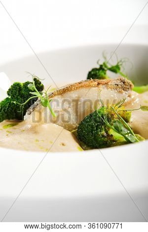 Sea cod fillet close up. Served cuisine. Dish with fish and baked broccoli puree ingredients in white plate isolated. Luxury culinary. Restaurant food portion, delicious supper, main course