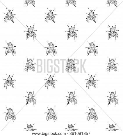 Vector Seamless Pattern Of Hand Drawn Doodle Sketch Fly Insect Isolated ...