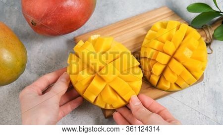 Perfect Mango Slice Cut In Cubes. Female Hands Holding Fresh Juicy Mango. How To Cut Mango Tutorial