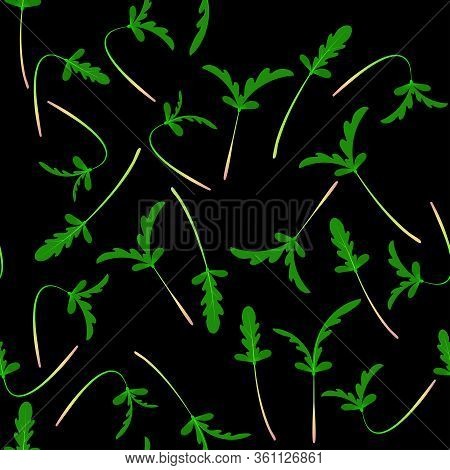 Microgreens Shungiku. Sprouting Seeds Of A Plant. Seamless Pattern. Vitamin Supplement, Vegan Food.