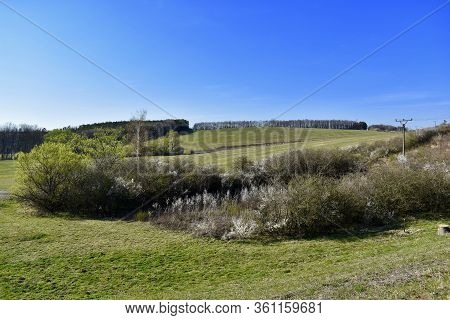 Spring Solar Walk Around Forest In Czech Republic.