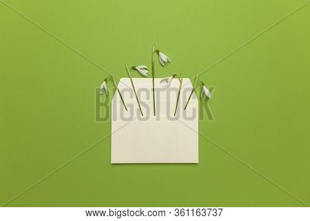 Fresh Beautiful Snowdrops Flowers In Envelope Isolated On Green Background. Invitation On Wedding Or