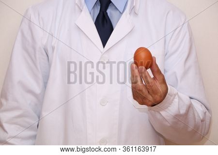 The Doctor Holds In His Hands A Dietary Egg For Proper Wholesome Nutrition.
