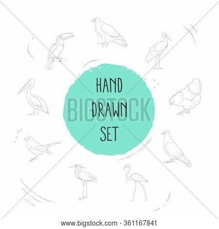 Set Of Fowl Icons Line Style Symbols With Jay, Flamingo, Heron And Other Icons For Your Web Mobile A