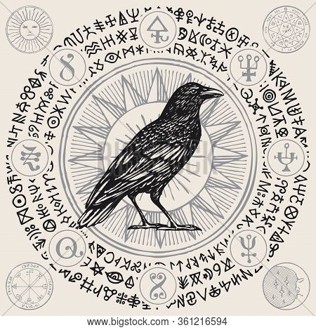 Vector Illustration With A Wise Black Raven Or Magic Crow In Retro Style. Hand-drawn Banner With Mag