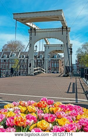 City scenic from Amsterdam in spring at the Tiny bridge in the Netherlands