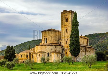 Picturesque Tuscany. The ancient monastery of San Antimo. Sunny autumn day. Olive trees on green grassy meadows. The concept of active, rural and photo tourism