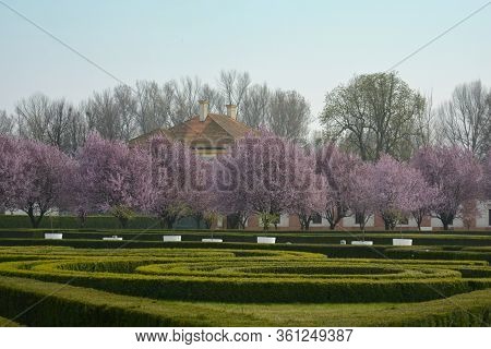 Prague, Czech Republic. April, 01, 2014. Trojska Regular Garden. Cherry Trees Blossom, Pink Flowers 