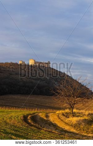 ruins of Devicky Castle with vineyards, Czech Republic