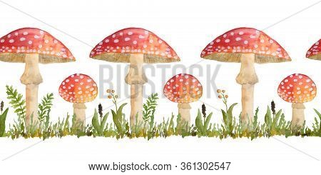 Hand Drawn Watercolor Seamless Horizontal Border With Poisonous Mushrooms Red Amanita Muscaria. Wild