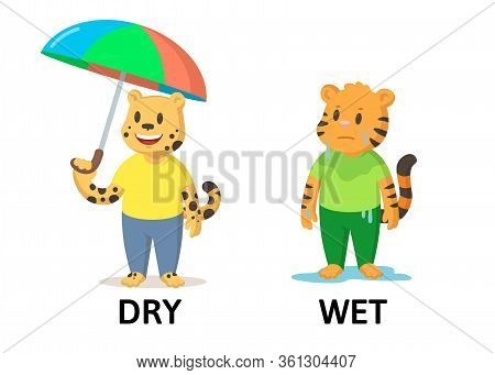 Words Strong And Weak Flashcard With Cartoon Animal Characters. Opposite Adjectives Explanation Card