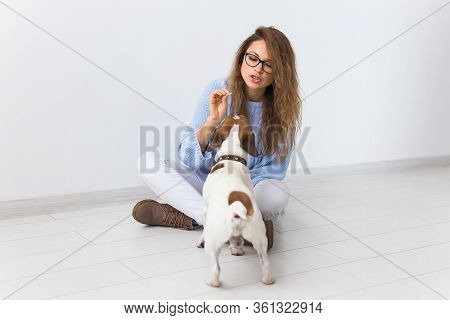 Pets Owner Concept - Attractive Cheerful Female In Blue Sweater Playing With Her Favourite Pet. Happ