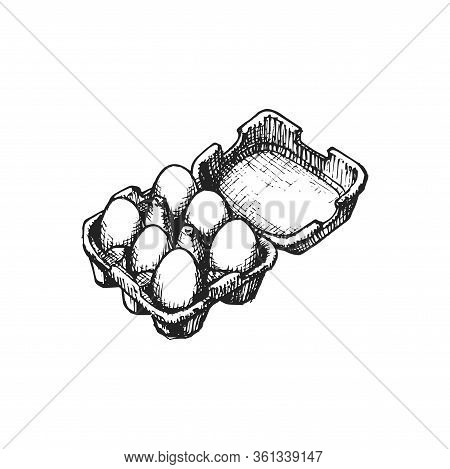 Hand Drawn Eggs Box In Vector. Graphic Illustration In Engraving Style