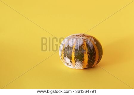 Moldy Pumpkin On A Yellow Background With Copy Space. Ugly Food. Front View