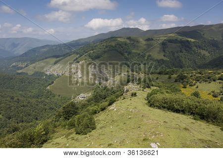 Parque Natural de Saja-besaya