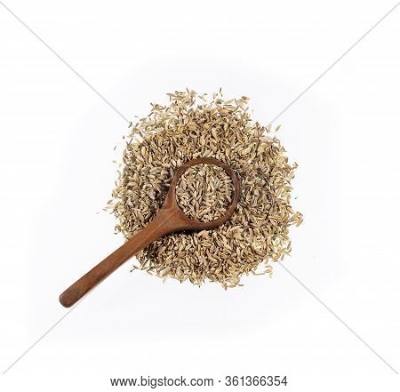 Dried Fennel Seeds In Wooden Spoon - Foeniculum Vulgare