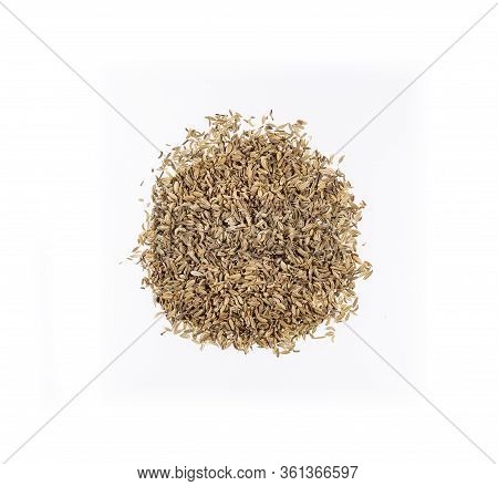 Dry Organic Fennel Seeds - Foeniculum Vulgare. White Background