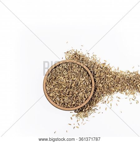 Foeniculum Vulgare - Fennel Seeds In A Wooden Bowl