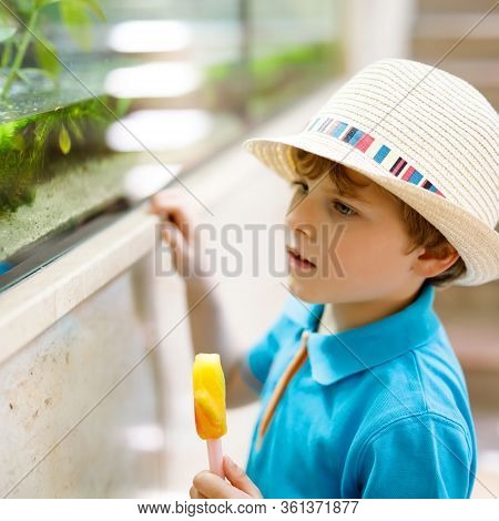 Little Kid Boy Admire Different Reptiles And Fishes In Aquarium Through The Glass In Zoo. Happy Scho