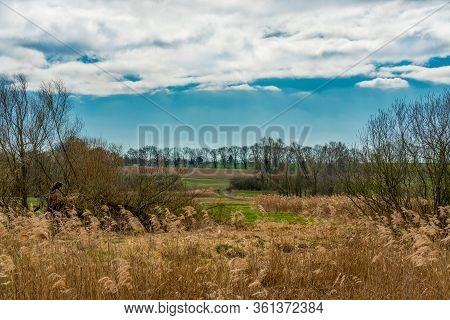 April 2020- Springtime At Nature Reserve Tegeler Fliess In Berlin