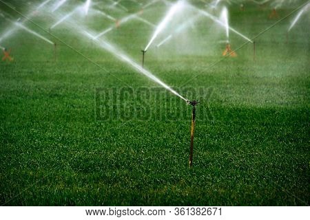 Sprinker irrigation system spraying water on field agricultural
