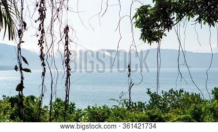 View Of A Quiet Beach Behind A Frame Of Trees, Leaves And Lianas