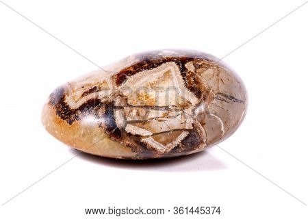 Macro Mineral Stone Simbirzit And Septaria On White Background