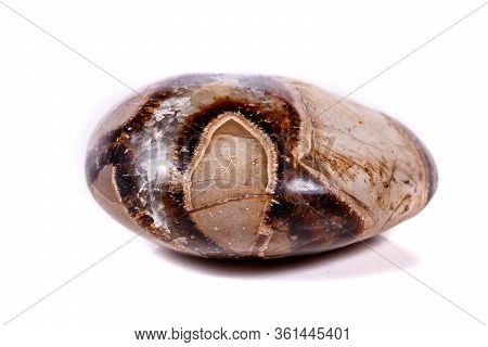 Macro Mineral Stone Simbirzit And Septaria On White Background