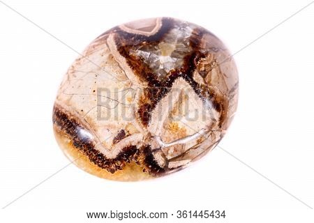 Macro Mineral Stone Simbirzit And Septaria On White Background