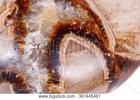 Macro Mineral Stone Simbirzit And Septaria On White Background