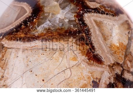Macro Mineral Stone Simbirzit And Septaria On White Background