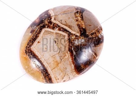 Macro Mineral Stone Simbirzit And Septaria On White Background