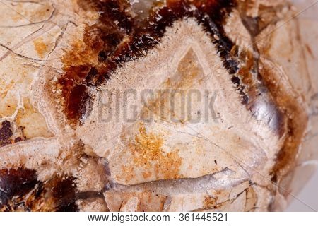 Macro Mineral Stone Simbirzit And Septaria On White Background