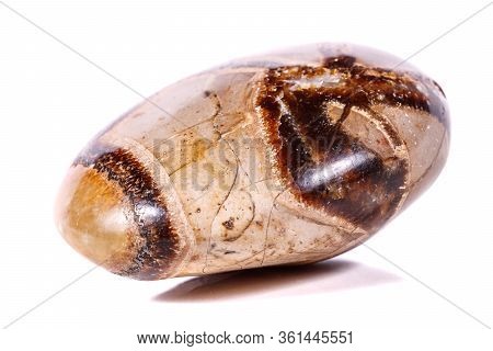 Macro Mineral Stone Simbirzit And Septaria On White Background