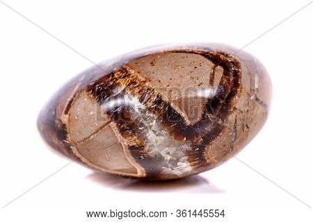 Macro Mineral Stone Simbirzit And Septaria On White Background