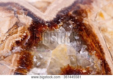 Macro Mineral Stone Simbirzit And Septaria On White Background